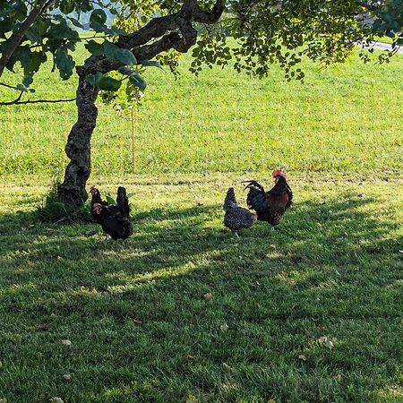 Neuschwendterhof Leilighet Ebbs Eksteriør bilde