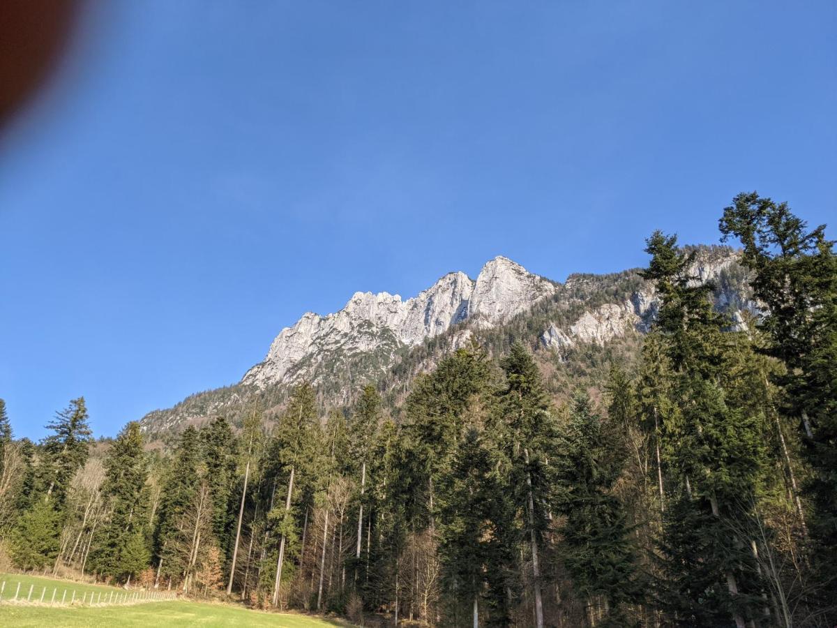 Neuschwendterhof Leilighet Ebbs Eksteriør bilde